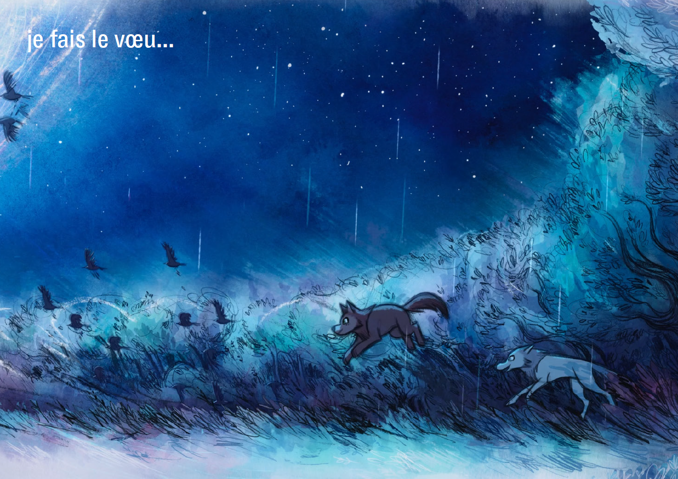 Je fais le vœu... - 6