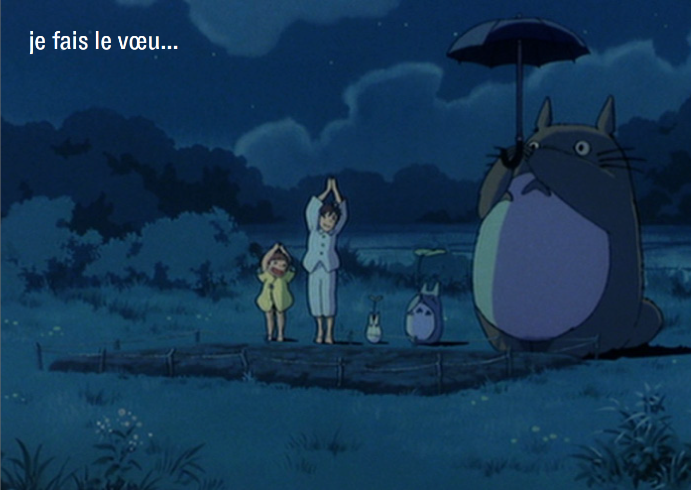 Je fais le vœu... - 1